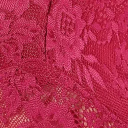 Clovia Magenta Lace Padded Bra image 4