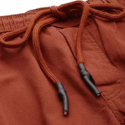 The Indian Garage Co Men Rust Joggers Trousers image 3