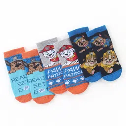 Cute Walk by Babyhug Cotton Blend Ankle Length Anti Bacterial Socks Paw Patrol Design Pack of 3 - Grey & Blue-image-7
