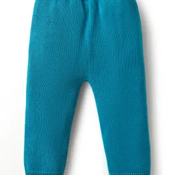 Babyhug Organic Cotton Knit Full Raglan Sleeves Sweater Set with Cap & Cat Patch Detailing - Teal Blue image 5