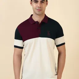 Allen Solly Colourblocked Polo Collar Cotton T-shirt-picture-38