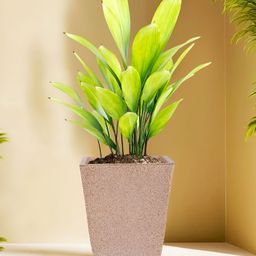 RUBOXA Marble Tower Brown UV-Protected Planters With Tray-picture-49