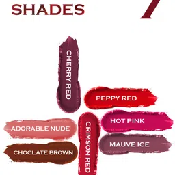 PERPAA Set of 4 Power Stay Non-Transfer & Long-Lasting Velvet Matte Liquid Lipstick 5 g-Nude 21 - Red 22 - Bright Red 01 - Maroon 09 image 2