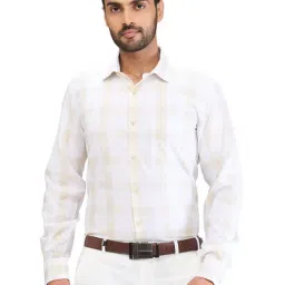 Park Avenue Beige Slim Fit Checks Shirt-image-33
