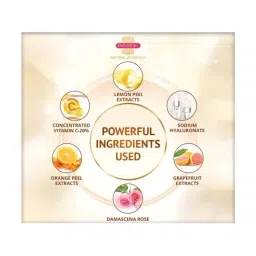 INVEDA Ojaswini Vitamin C Saundarya Kit image 2