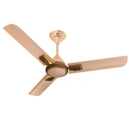 Standard by Havells Ceiling Fan Frorer Decor ES Champagne Pearl Brown 1200 mm, FSCRR1SCPB48 image 1