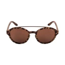 INVU T2701C Brown Polarized Round Sunglasses-picture-20