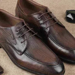 Metro Tan Derby Shoes-picture-43