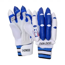 CW Boys Cricket Gloves-picture-11