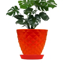 go hooked 6 Inch Kohinoor Pot for Plants with Saucer Tray image 5