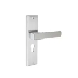 Tasa Cylindrical Mortise Handle Stainless Steel Finish 254 mm (10 Inch), MH-VERTEX-picture-34