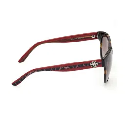 Guess Brown UV Protected Oval Sunglasses for Women GUS78245552FSG image 5