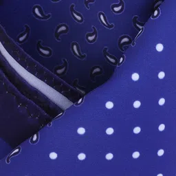 Alvaro Castagnino Blue Printed Pocket Square image 3