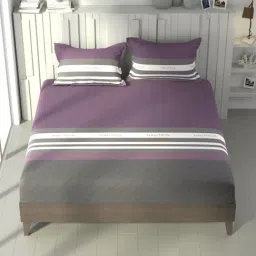 Nautica Ocean View Wine & Grey Cotton Striped 160 TC King Flat Bedsheet with 2 Pillow Covers image 2
