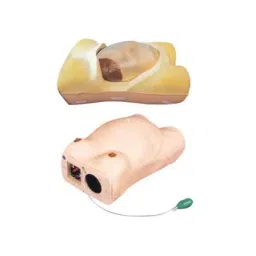A-ONE SCIENCE Skin Color PVC Maternity Examination Model AOSBM198 image 3