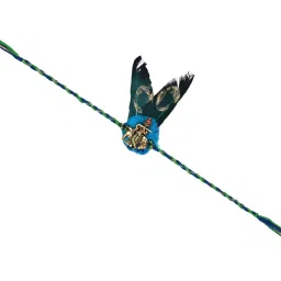 Aapno Rajasthan Divine Basuri Krishna Single Rakhi image 5