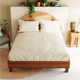 Bianca BOTANICAL Checks Beige 210 TC Cotton King Bedsheet with 2 Pillow Covers-picture-48