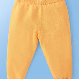 Babyoye 100% Cotton Knit Full Raglan Sleeves Striped Sweater Set with Colour Block Design - Yellow image 5