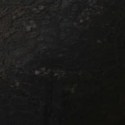 Clovia Black T-Shirt Bra image 5