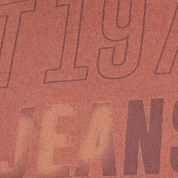 Pepe Jeans Orange Cotton Slim Fit Printed T-Shirt image 5