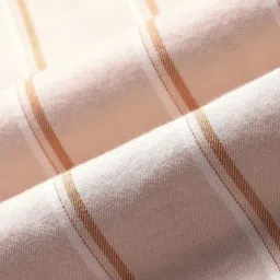 Arrow Sport Beige Cotton Regular Fit Striped Shirt image 5