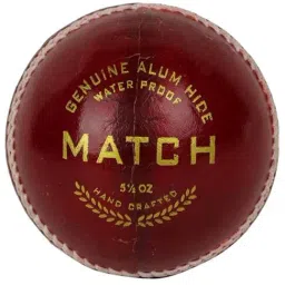 Reebok Red Club Leather Ball image 2