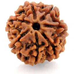 RAVIOUR LIFESTYLE Girls BrownJewellery Set-image-26