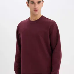 DeFacto Men Round Neck Long Sleeves Sweatshirt image 5