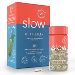 Wellbeing Nutrition Slow | Gut Health (60 Capsules) | 20 Billion CFU Probiotic & Prebiotic in Vegan Omega 3 Oil | GUT, Digestive Balance & Maintain Intestinal Integrity-image-46