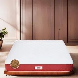COIRFIT Maroon & White Quilted Chemical Free Natural Coir Single Size Orthopedic Mattress-picture-12