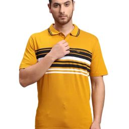 ColorPlus Yellow Classic Fit Striped Polo T-Shirt-picture-13