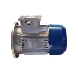 Unicorn Three Phase 20 HP 2 Pole Flange Mounted Electric Induction Motor, 2023V-picture-32