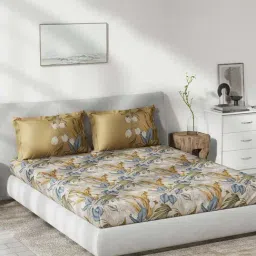 DDecor Beige & Blue Cotton 145 TC Queen Bedsheet with 2 Pillow Covers-image-30