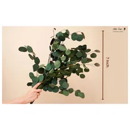 Arte Casa Million Dollar Eucalyptus image 1