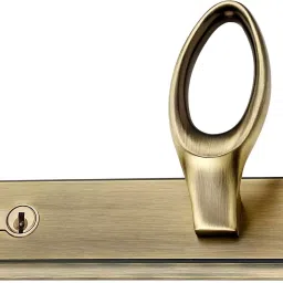 Bonus Premier 65 mm Zinc Alloy Silver Gold Finish Half Moon Handle Set-picture-46