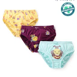 Babyoye Eco Conscious Cotton Knit Panties Bees Print Pack of 3 -Multicolour-image-64