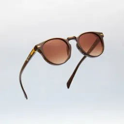Ted Smith Brown Round UV Protection Unisex Sunglasses-picture-13