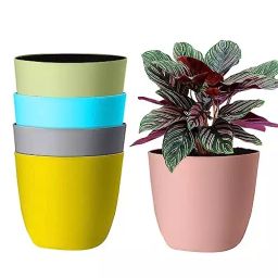 ORILEY Portable Flower Pot Plastic 10.5 inch Multicolour, ‎OR-FP06 (Pack of 5 Pcs)-picture-11