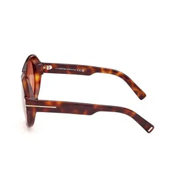 Tom Ford Havana Men Oval Sunglasses with UV Protected Lens FT1113 59 53T image 3