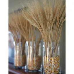 Arte Casa Wheat Grass image 2