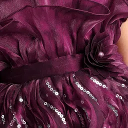 Babyhug Woven Puffed Sleeves Fit & Flared Sequined Ruffled Party Frock with Floral Applique - Wine image 4