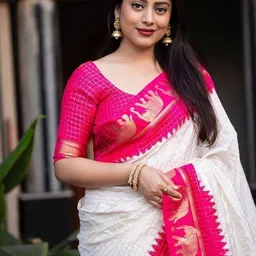 FASHIONIZO Ethnic Motifs Woven Design Zari Saree With Blouse Piece image 3