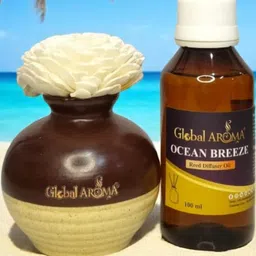 GLOBAL AROMA Ocean Breeze Fragracne Ethenic Flower Pot Reed Diffuser Set image 2