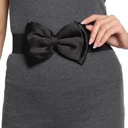 walletin Women Casual, Evening, Formal Black Fabric Belt image 4