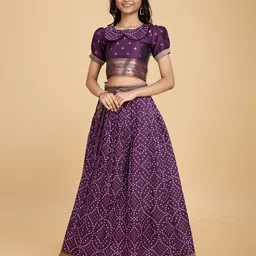 Tasarika Girls Ready to Wear Lehenga &-picture-36