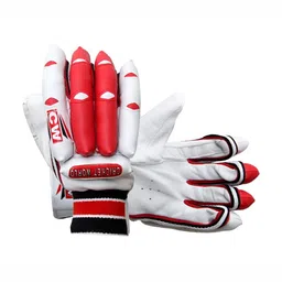 CW Boys Cricket Gloves-picture-38