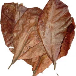 ja products Indian Almond Leaves Dried, Aquarium fish food/ Water Conditioner Aquatic Plant Fertilizer image 3