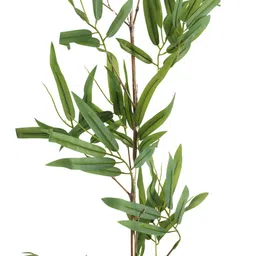 Elemntl Green Core image 2