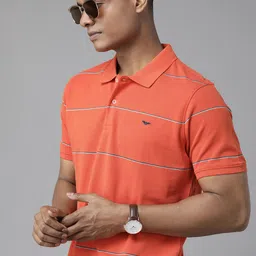 Park Avenue Men Striped Polo Collar Slim Fit T-shirt-picture-17