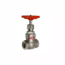 Valson 1 inch, 25.4 mm Gate Valve Ss Parts Screwed Bsp Female Thread Stainless Steel Silver-picture-45